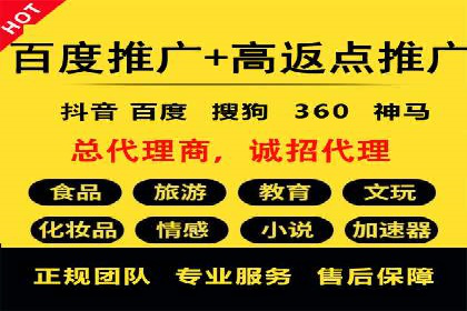 百度推广成功案例：打造行业领军品牌之路